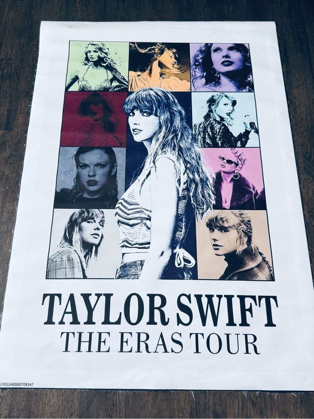 Taylor Swift The Eras Tour Concert Canvas Poster Art Print
